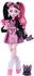 Mattel Monster High Doll With Pet