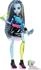 Mattel Monster High Doll With Pet