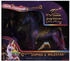 Spin Master 6072668 Unicorn Academy UCA Small Doll & Unicorn Sophia & Wildstar