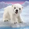 Folkmanis Puppen