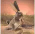 Folkmanis Handpuppe Feldhase / Jack Rabbit Hase Kaninchen 38 cm (3200)