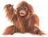 Folkmanis Handpuppe Baby Orang-Utan (3106)