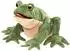 Folkmanis Handpuppe Kröte (3099)