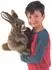 Folkmanis Handpuppe Hase (3164)