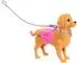Mattel Barbie Malibu Hundespaziergang Spielset mit Puppe (JJB46)