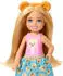 Barbie Playset Chelsea Tea Partx Picnic (JJB40)