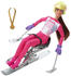 Barbie Winter Sports Para Alpine Skier (HCN33)