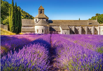 Castorland Provence, Frankreich (1000 Teile)