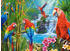 Castorland Parrot Meeting (2000 Teile)