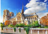 Bluebird Puzzle Cathédrale Notre-Dame de Paris (2000 Teile)
