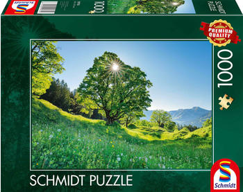 Schmidt-Spiele Berg-Ahorn im Sonnenlicht, St. Gallen, Schweiz (1000 Teile)