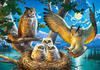 Castorland Owl Family (500 Teile)