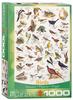Eurographics Puzzle Vögel, Tierwelt, Birds, 1000 Teile, 68 x 48 cm, 6000-1259