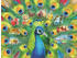Ravensburger Land of the Peacock (2000 Teile)
