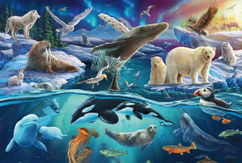 Schmidt-Spiele Tiere in der Arktis (150 Teile) – Entdecken Sie die Arktis spielerisch