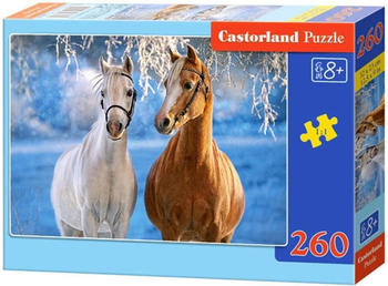 Castorland The Winter Horses