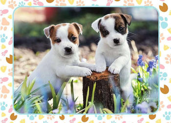 Nathan The Little Jack Russells (100 Teile)