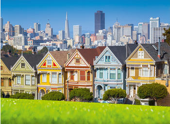 Bluebird Puzzle San Francisco, Painted Ladies (3000 Teile)