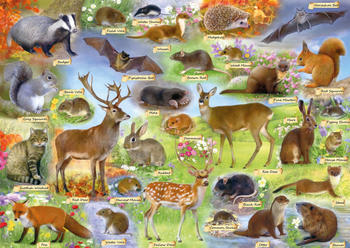 Gibsons British Wildlife (500 Teile)