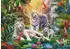 Ravensburger Familie der Weißen Tiger (1000 Teile)