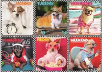 Trefl Cheerful Dogs