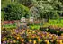 Ravensburger Keukenhof Gardens Netherlands