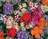 LEGO Brick Botanicals (1000 Teile)