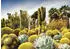 Ravensburger The Huntington Desert Garden, California, USA (1000 Teile)