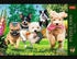 Trefl Premium Plus - Hunde (1000 Teile)