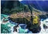 Trefl Premium Plus - Insel Maderia Portugal (1000 Teile)