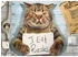 Eurographics Puzzles Feline Felon Gangsterkatze (500 Teile)
