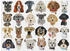 galison Paper Dogs (1000 Teile)