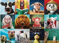 Eurographics Funny Animals