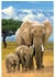 Eurographics Puzzles Elefanten Save Our Planet (250 Teile)
