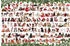 Eurographics Puzzles Holiday Dogs Tin (1000 Teile)
