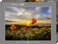 Heye Cloudberries (1.000 Teile)