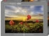 Heye Hutter Trade Selection Puzzle Cloudberries (1000 Teile)