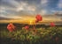 Heye Hutter Trade Selection Puzzle Cloudberries (1000 Teile)