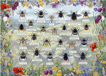 Gibsons Brilliant Bees (1000 Teile)