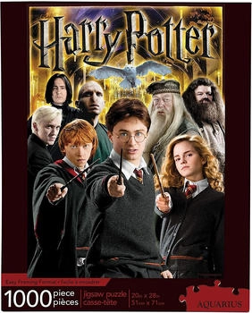 Aquarius Harry Potter Collage (1000 Teile)