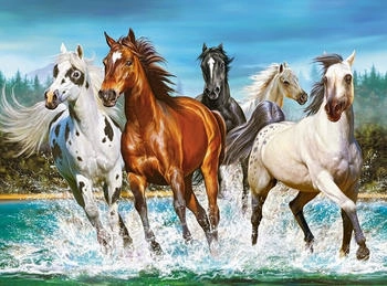 Castorland Call of Nature (2000 Teile)