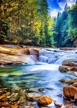 Grafika Schöner Wasserfall im Wald (2000 Teile)