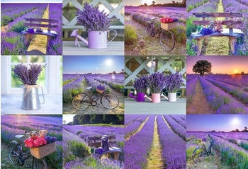Wooden City Holzpuzzle 150 Teile : Wooden Puzzle Lavender France M