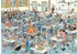 Jumbo Puzzle Jan van Haasteren - Die Katzenshow