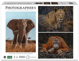 Ambassador Photographers Collection Instagram Teile Wildtiere Blickkontakt (Donal Boyd) Photographers Collection Instagram