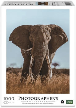 Ambassador Photographers Collection Instagram Afrikanischer Elefant (Donal Boyd)
