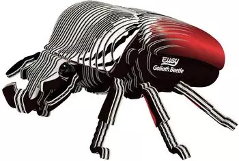 Eugy 3D Goliath Beetle