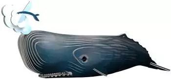 Eugy 3D Sperm Whale