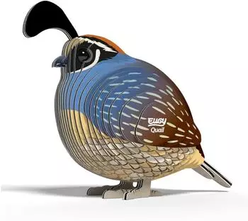 Eugy 3D Quail