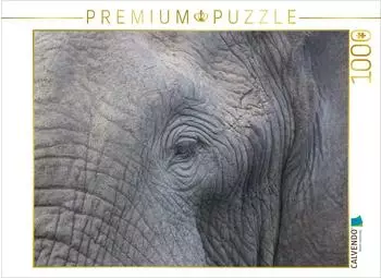 Calvendo Foto-Puzzle &bdquo;Begegnung im Tembe Elephant Park, S&uuml;dafrika" 1000 Teile 64x48cm